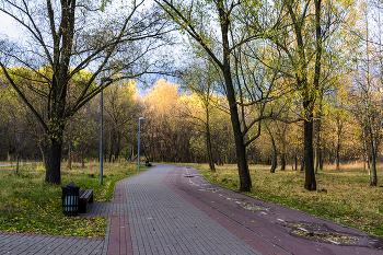 короток осенний день / октябрь, вечереет, Москва парк &quot;Яуза&quot;