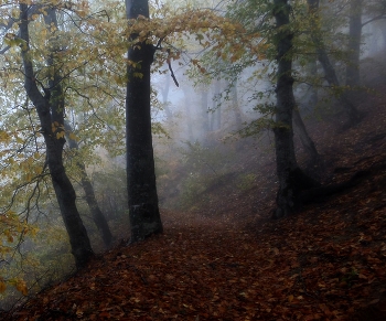Тропы осенние..... / Железноводск. Октябрь