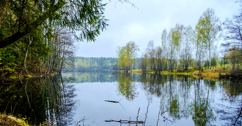 Весенний пейзаж. / ***