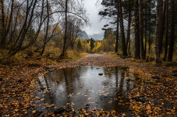 В Терсколе осень / Кабардино-Балкария, Приэльбрусье, Терскол