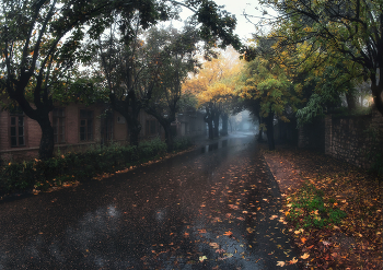 Ненастно-тоскливое утро октября в г. Железноводск. Ставропольский край. / Железноводск. Ненастно-тоскливое утро октября. Ставропольский край.