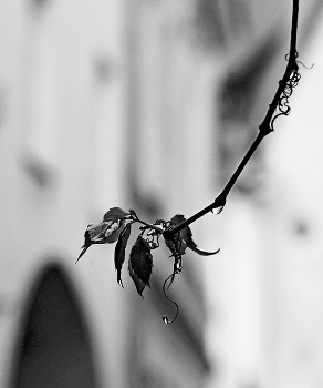 &nbsp; / ..........................