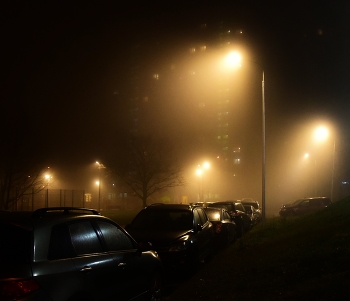 "Ночь фонарями расставила стражу ..." / "Ночь фонарями расставила стражу
 Круговерть электрических глаз ..."