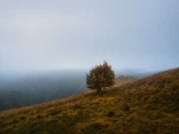 Осенний минимализм. Туманное раннее утро в Кабардино-Балкарии. / Раннее утро в Кабардино-Балкарии. По пути к Эльбрусу.