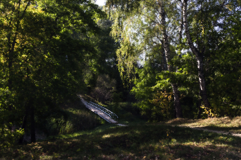 Тургеневская осень. / Немного "похулиганила" с обработкой)), захотелось "картину маслом"!)