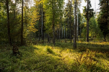 &nbsp; / п.Октябрьский,Татарстан,Зеленодольский р-он