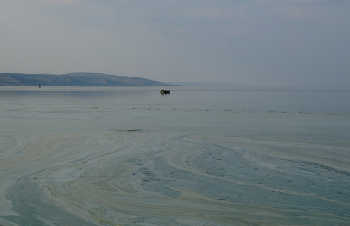 Утренняя рыбалка / Утренняя рыбалка