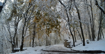 Снежное утро..... / Железноводск. Ноябрь