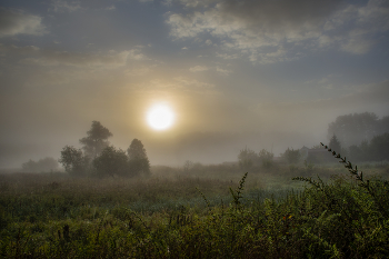 &nbsp; / Летнее утро