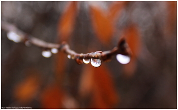 Осень / После дождя