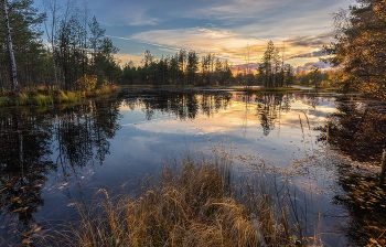 Поэзия природы / ***
