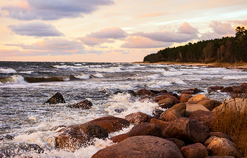 Свежий ветер / ***