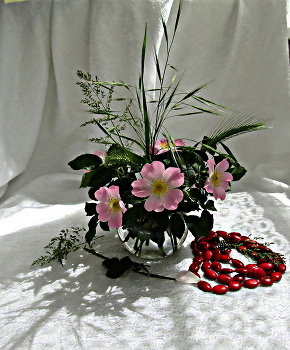 НАТЮРМОРТ / шиповник бусы