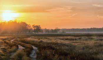 солнечный ветер.. / сентябрьское утро в заказнике..