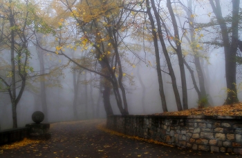 В осеннем парке........ / Железноводск. Октябрь