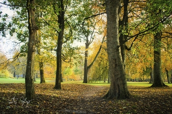 &nbsp; / Ein Bild vom herbstlichen Park