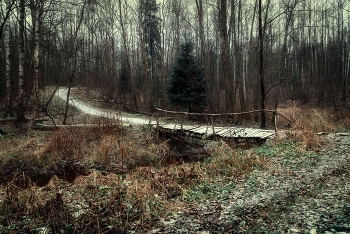 Между осенью и зимой / Ноябрь 2022