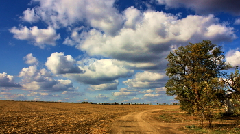 Поле отдыхает / Отдых поля, дорога,дерево,небо,облака