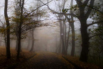 Осенний парк.......... / Железноводск. Октябрь