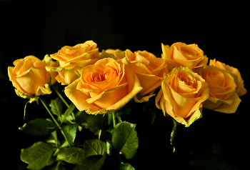 Солнечная красота / ***