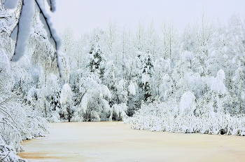 "Морозный лес. В парадном одеянье деревья - мумии..." / "Морозный лес. 
 В парадном одеянье
 деревья - мумии, деревья - изваянья ...
 Я восхищаюсь этой красотой,
 глаз не свожу,
 А сердцем не приемлю ..."
 В.Тушнова