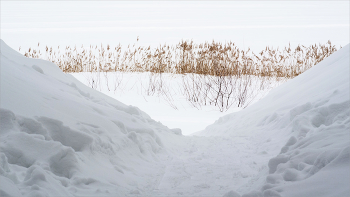 сердцу милых три угла / https://youtu.be/cDrBTr5HOrI