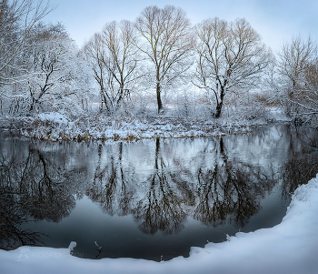 Первый снег / Ажурные ивы на берегу реки Короча. 
Корочанский район. Ноябрь, 2022 года.
Из фотопроекта "Земля Белгородская».