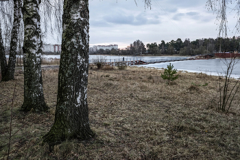 &quot;На белых стволах появляется сок...&quot; / Ранняя весна в городе Конаково.