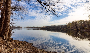 В Осеннем озере покой... / Ноябрь 2022
