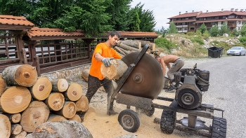 Заготовка дров / снято в Банско