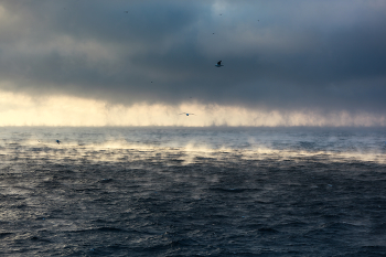Гольфстрим. Облака, пьющие океан. / Тёплое течение Гольфстрим, вода плюс 8 по цельсию, воздух - минус 8.