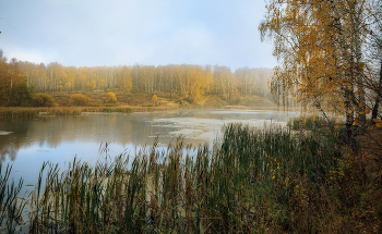 Золотая осень. / река Осетр