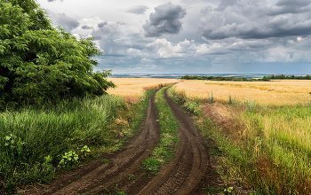 Дожди заходят / ***