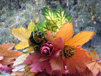 Осенние розы / осень, осенние листья