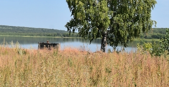 пустырь / _____