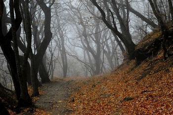Дороги осенние...... / Железноводск. Октябрь