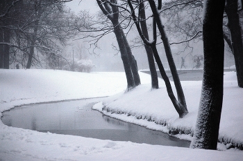 Таврический сад зимой / Зима в Санкт-Петербурге. &quot;Мокрая&quot; печать. 30х45 см