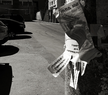 Пропала собака / Поиск в городе моём дело занятное