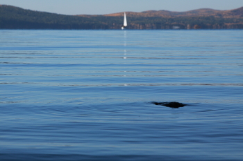 На озере Тургояк / Озеро Тургояк в Уральских горах