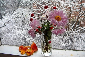 ПЕРВЫЙ СНЕГ / ПЕРВЫЙ СНЕГ