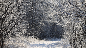 &nbsp; / Гелиос-44-2 СССР.