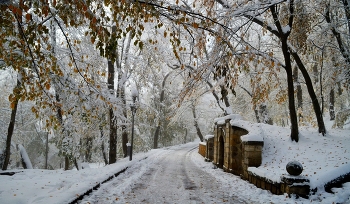 Солнечным утром......... / Железноводск. Ноябрь