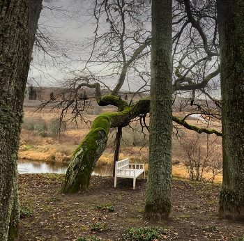Совсем унылая пора / В Михайловском, экспонат "Скамья Онегина"