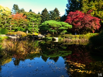 Осень в ботаническом саду / https://www.youtube.com/watch?v=7FteDQbgcSo

https://www.youtube.com/watch?v=IMdWgQNK_Ts

 https://www.youtube.com/watch?v=asLxOmD1gUM

https://www.youtube.com/watch?v=h6GzTHIV8Ms

https://www.youtube.com/watch?v=po4fsRIKsF4