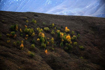 осень в горах .. / Окрестности Андийского озера, с. Анди, Республика Дагестан.