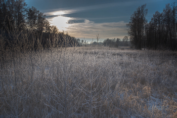 такая вот зима / холодно в декабре, начало