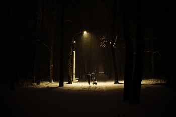 Позднее катанье. / Вечерний снегопад в парке.