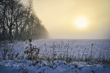 &nbsp; / Feld im Winter mit Schnee und Nebel