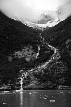 &nbsp; / Endicott Arm Fjord, Alaska