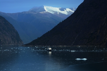&nbsp; / Endicott Arm Fjord, Alaska